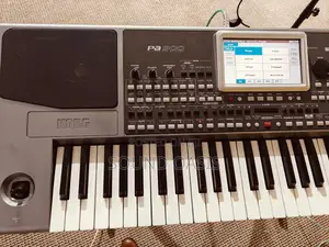Korg Pa900 61-Key Pro Arranger Keyboard