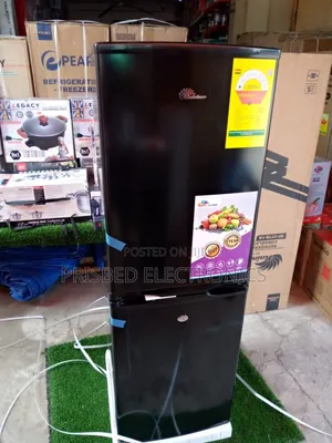 Rainbow Double Door Fridge 141 Litres Bottom Freezer