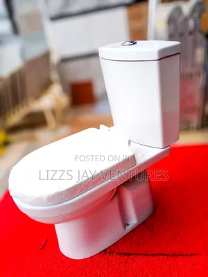 100 Water Closet