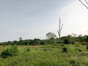 10'000 Acres of Land for Sale at Adeiso