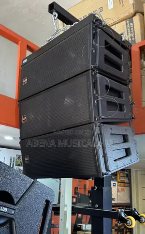 Lud Arrays Speakers (12 Inches)