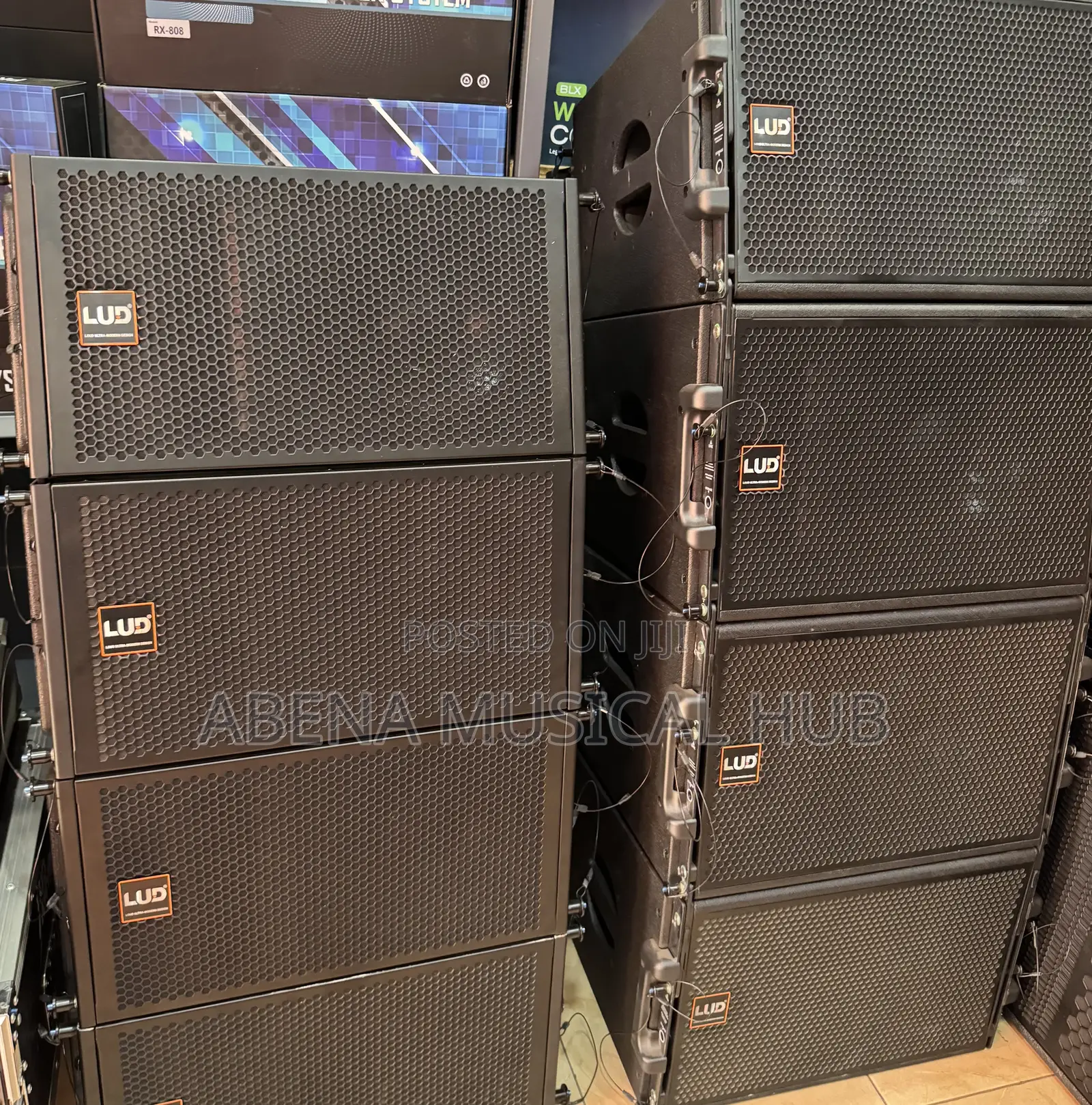Lud Arrays Speakers (12 Inches)