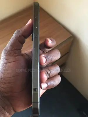 Apple iPhone 12 Pro Max 256 GB Gray