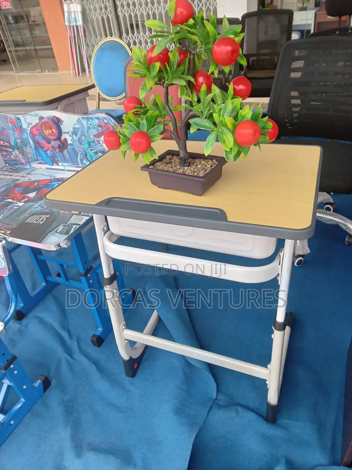 Niece's Study Desk