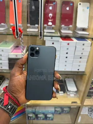 Apple iPhone 11 Pro Max 64 GB Gray