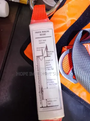 Safety Full Body Harness With Double Lanyards(Workman).