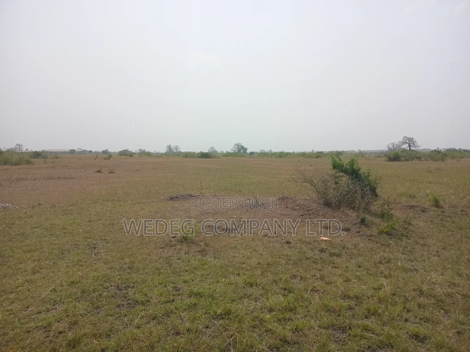 Titled Shai Hills Land