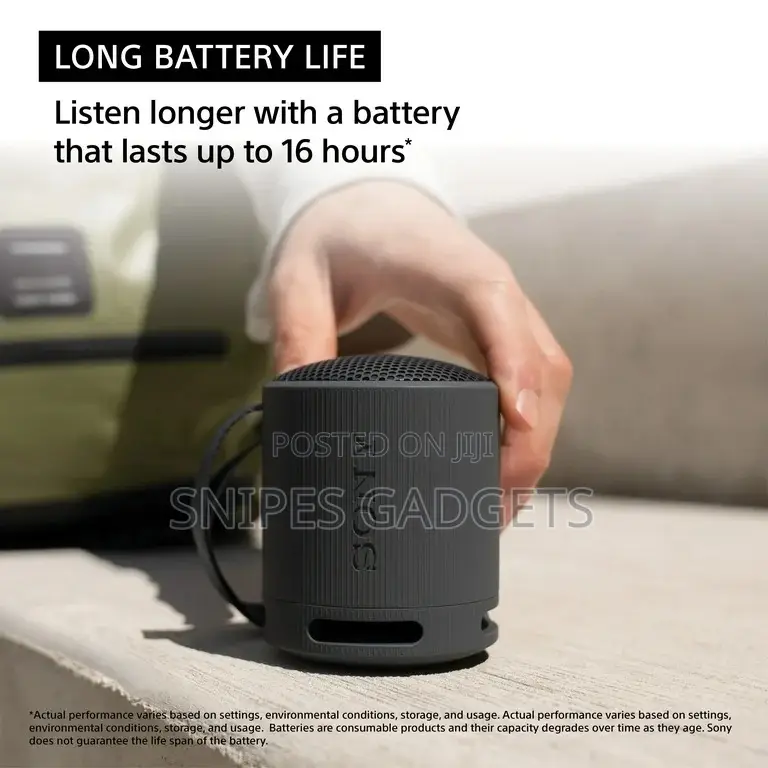 Sony SRS Xb100 Portable Bluetooth Speaker