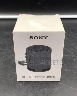 Sony SRS Xb100 Portable Bluetooth Speaker