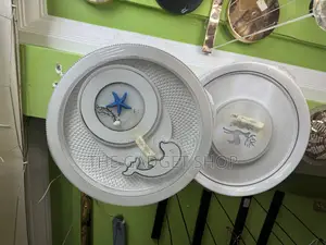 Modern Ceiling Fan With Light
