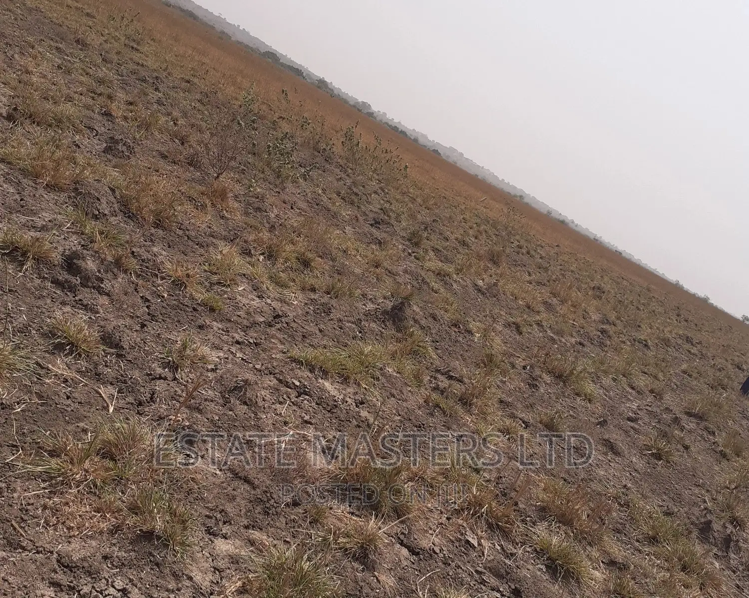 Affordable Gated Plots