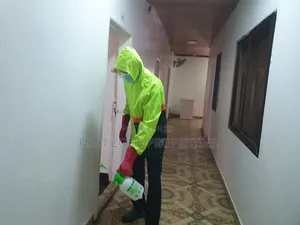 Ayeduase Fumigation With Cleantex
