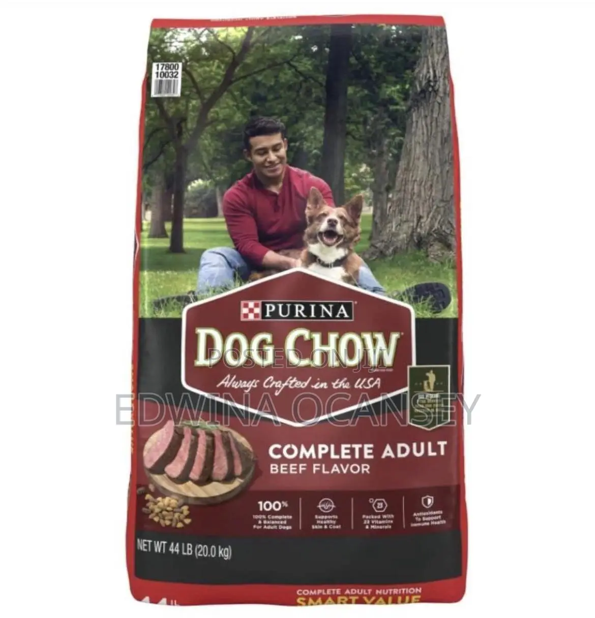 Purina Dog Chow