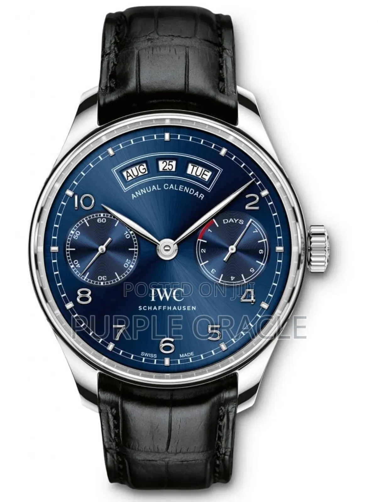 Iwc Portugieser Annual Calendar Watch