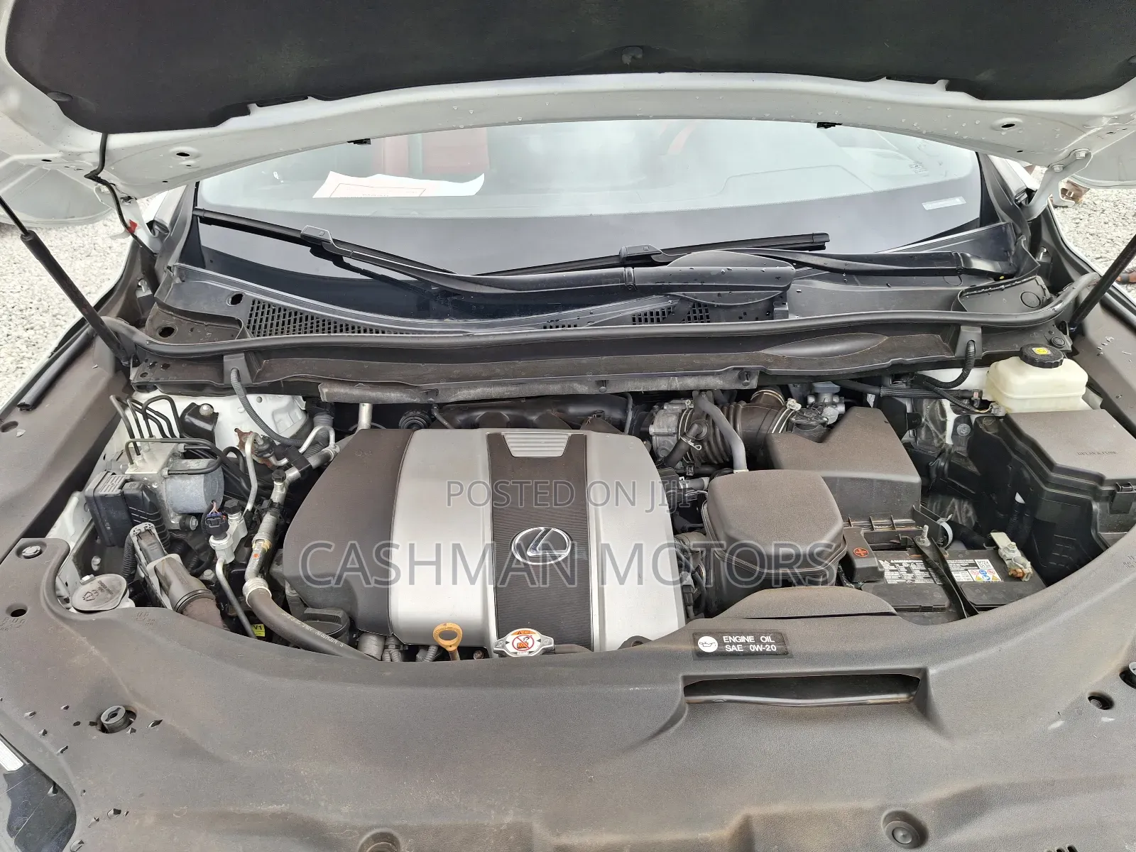 Lexus RX 350 2022 White