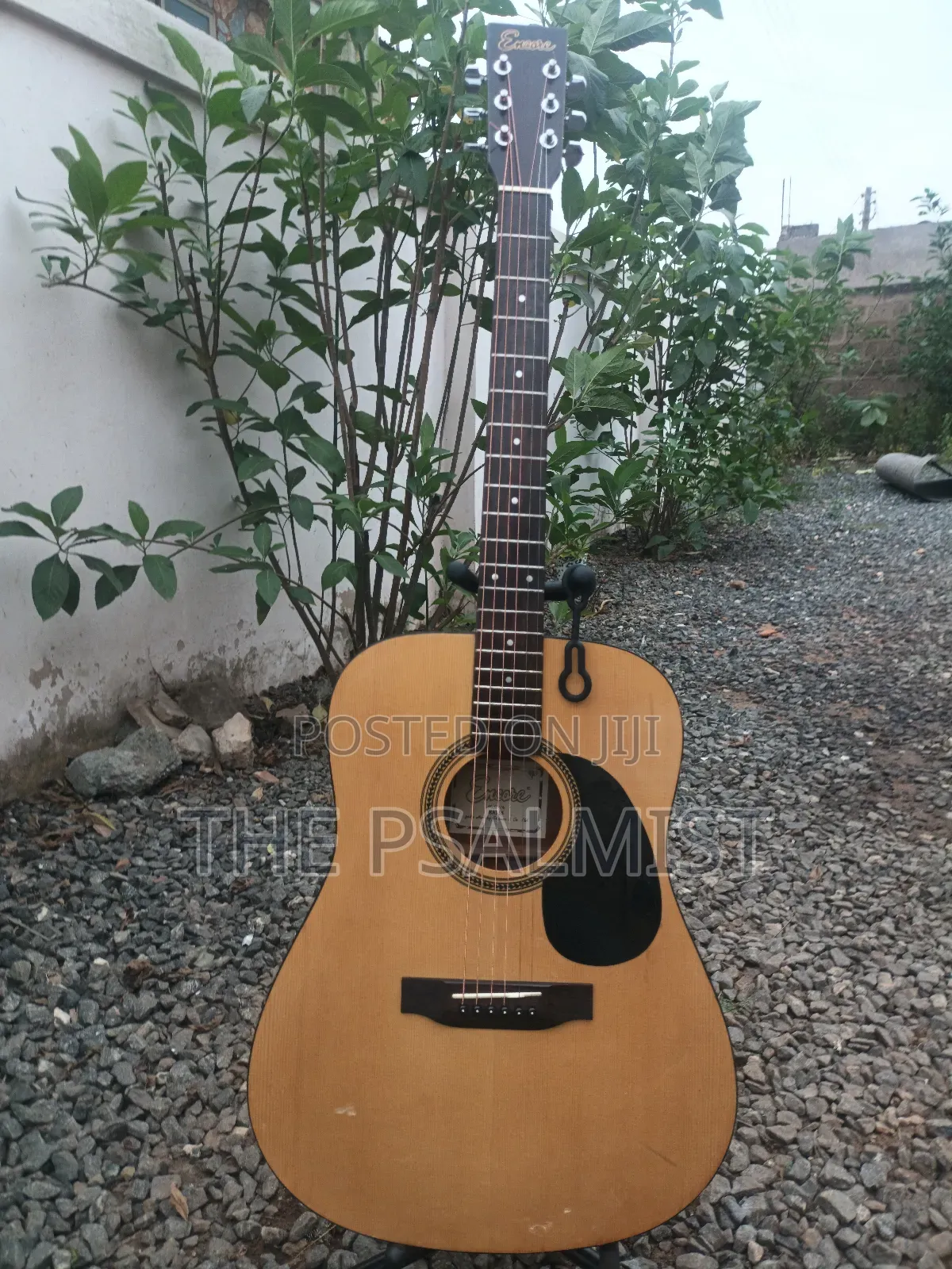 Encore E.A 255 Semi Acoustic Guitar