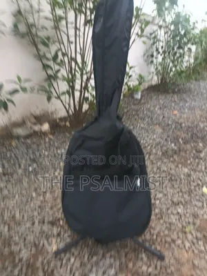 Encore E.A 255 Semi Acoustic Guitar