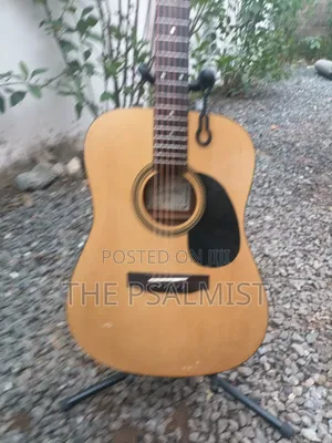 Encore E.A 255 Semi Acoustic Guitar