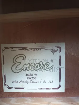 Encore E.A 255 Semi Acoustic Guitar