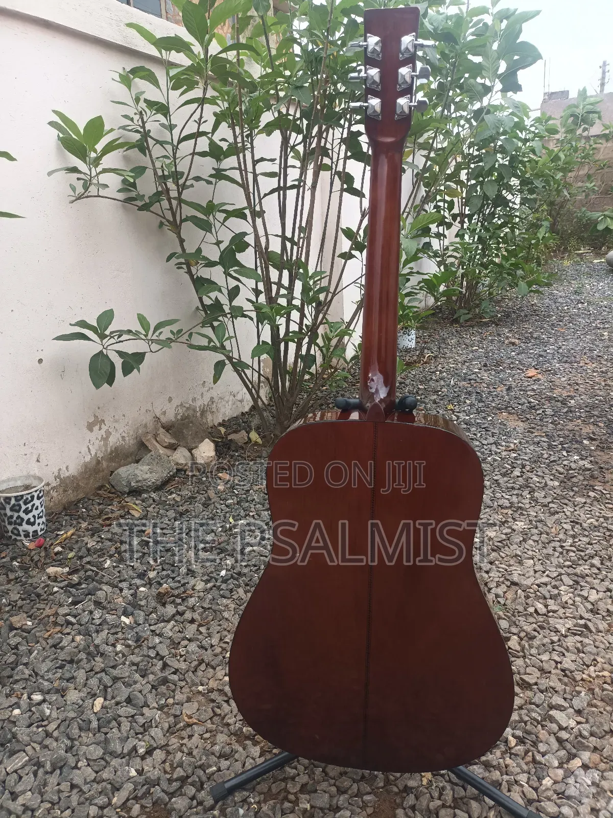 Encore E.A 255 Semi Acoustic Guitar
