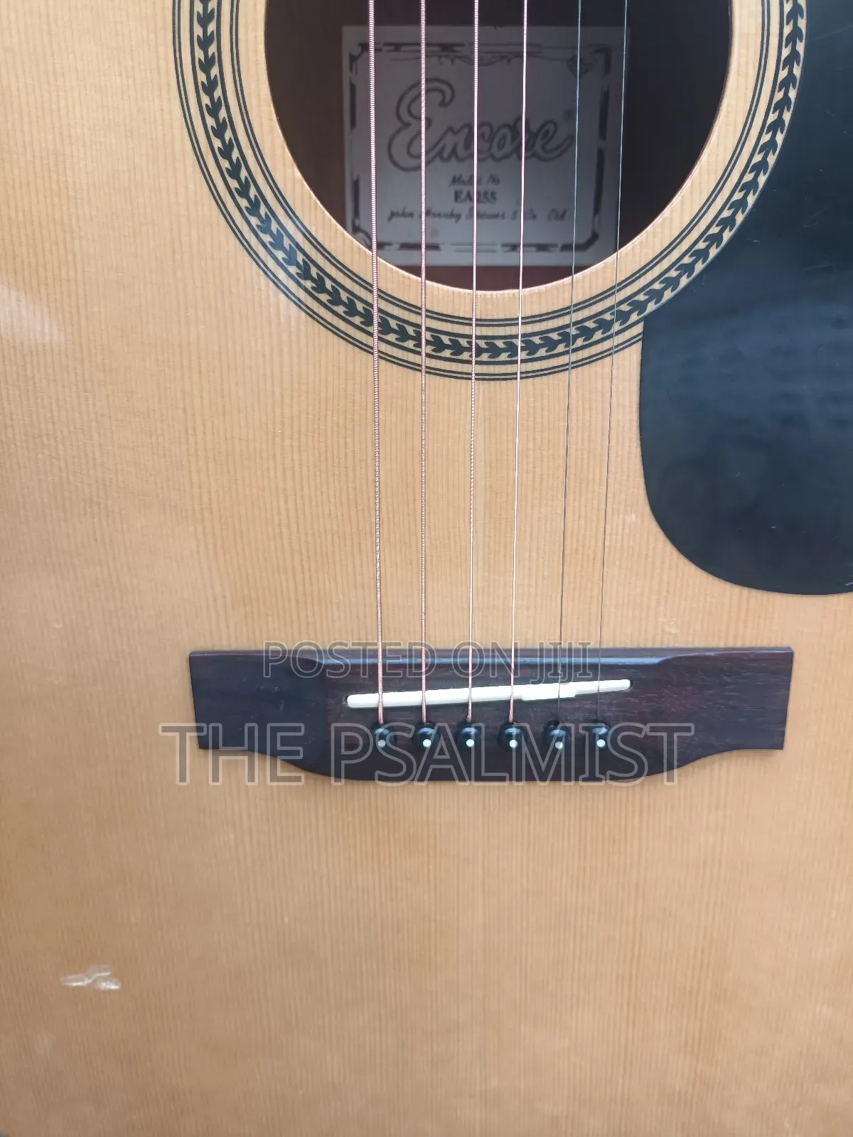 Encore E.A 255 Semi Acoustic Guitar