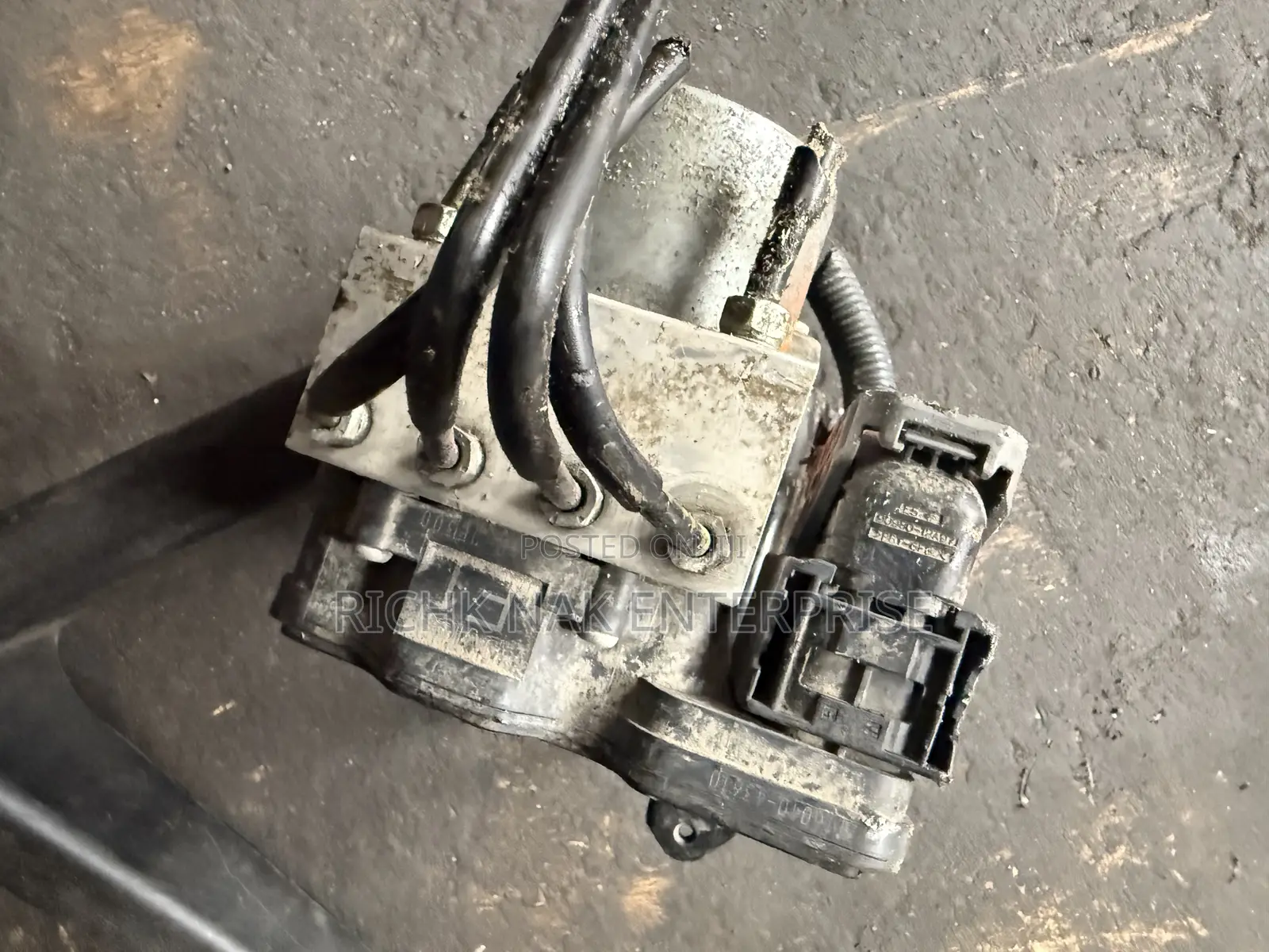 Highland 2019 Abs