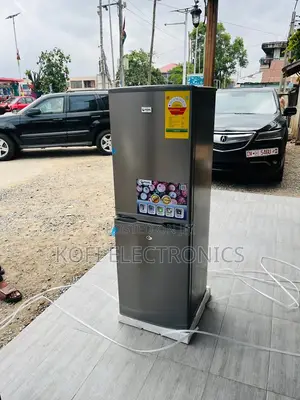 Extremely Good Quality Pearl Double Door Fridge Pf-217-1a