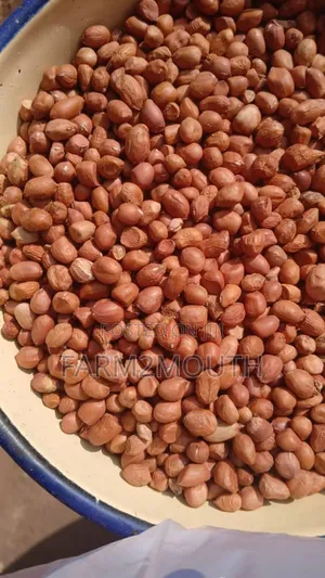 Groundnut Or Peanut