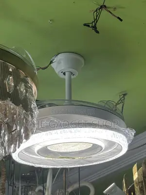 Modern Ceiling Fan With Light