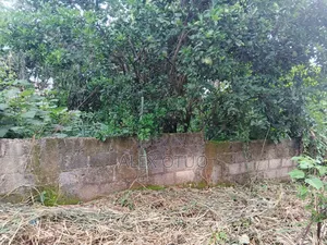 Plot of Land Good Location Abuakwa Darban