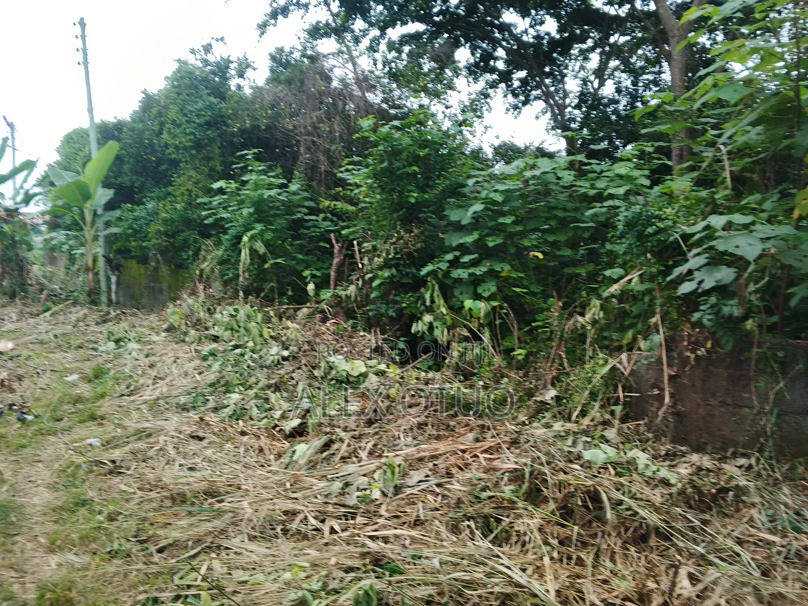 Plot of Land Good Location Abuakwa Darban