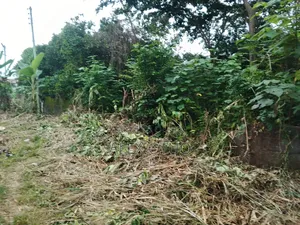 Plot of Land Good Location Abuakwa Darban