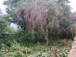 Plot of Land Good Location Abuakwa Darban
