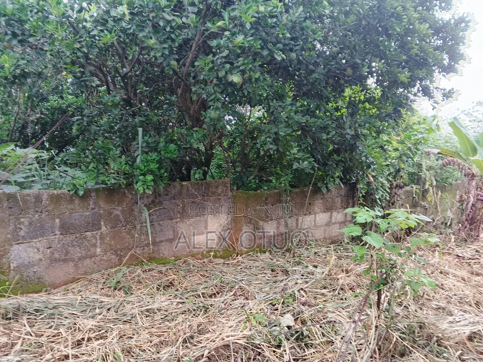 Plot of Land Good Location Abuakwa Darban