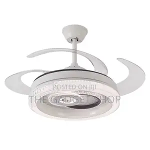 Modern Ceiling Fan With Light
