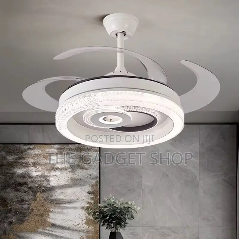 Modern Ceiling Fan With Light