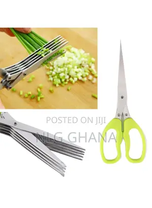 5 Layers Stainless Steel Scissors. Tvx10937
