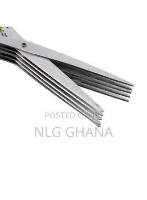 5 Layers Stainless Steel Scissors. Tvx10937