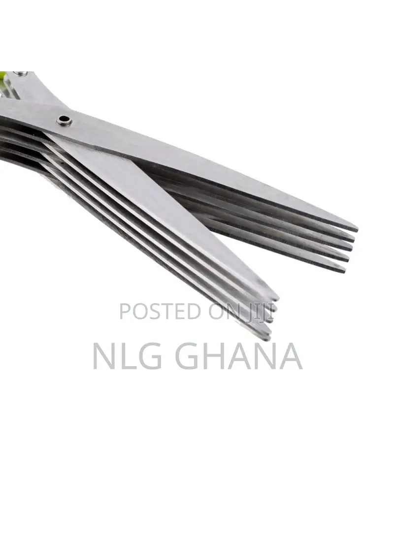 5 Layers Stainless Steel Scissors. Tvx10937