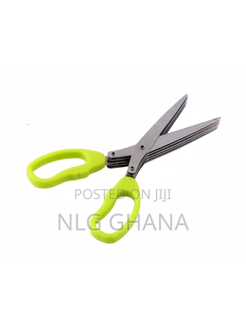 5 Layers Stainless Steel Scissors. Tvx10937