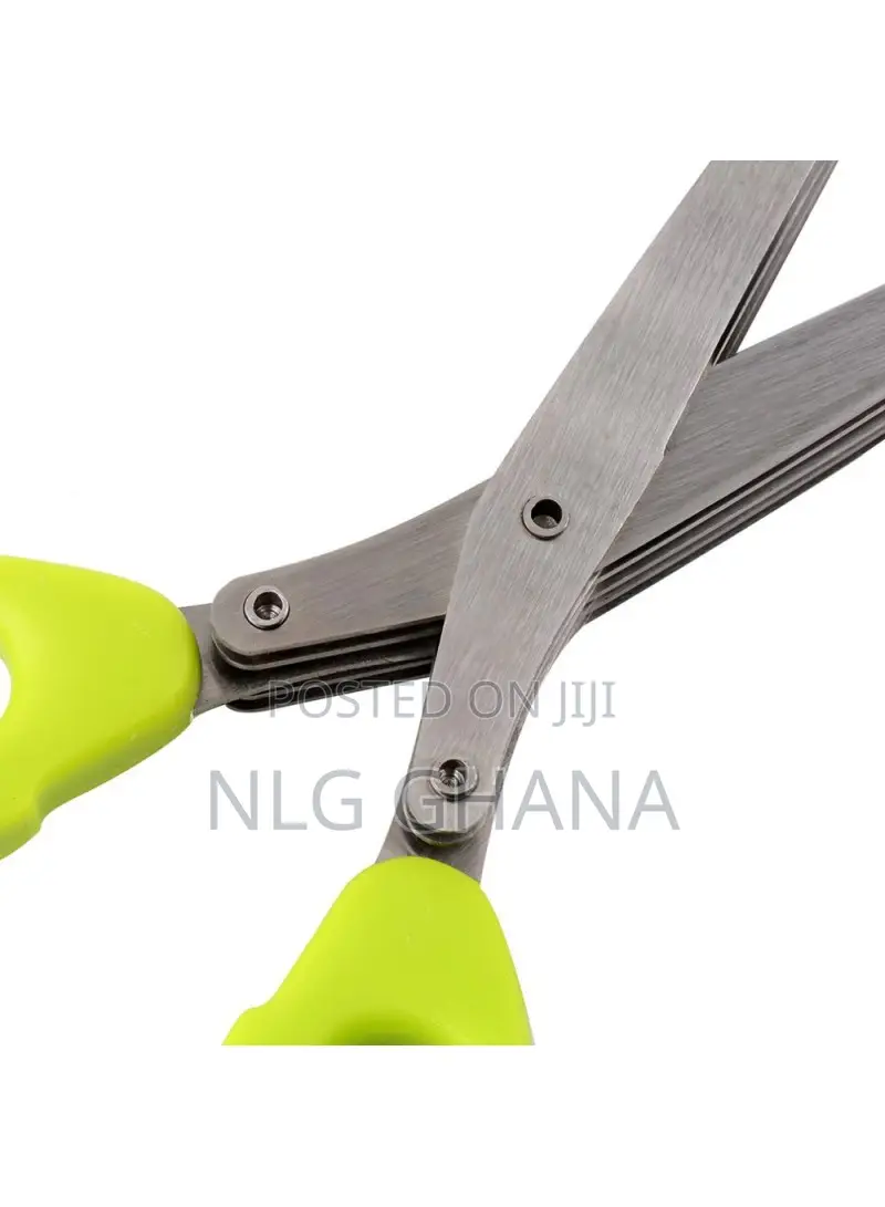 5 Layers Stainless Steel Scissors. Tvx10937