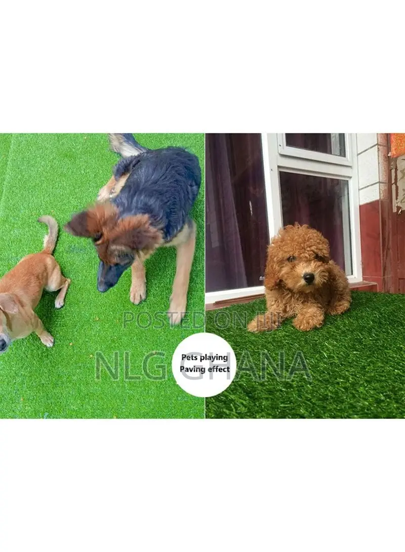 Artificial Grass, 0.8" Pile Height, TPR Natural. Ghx5210f
