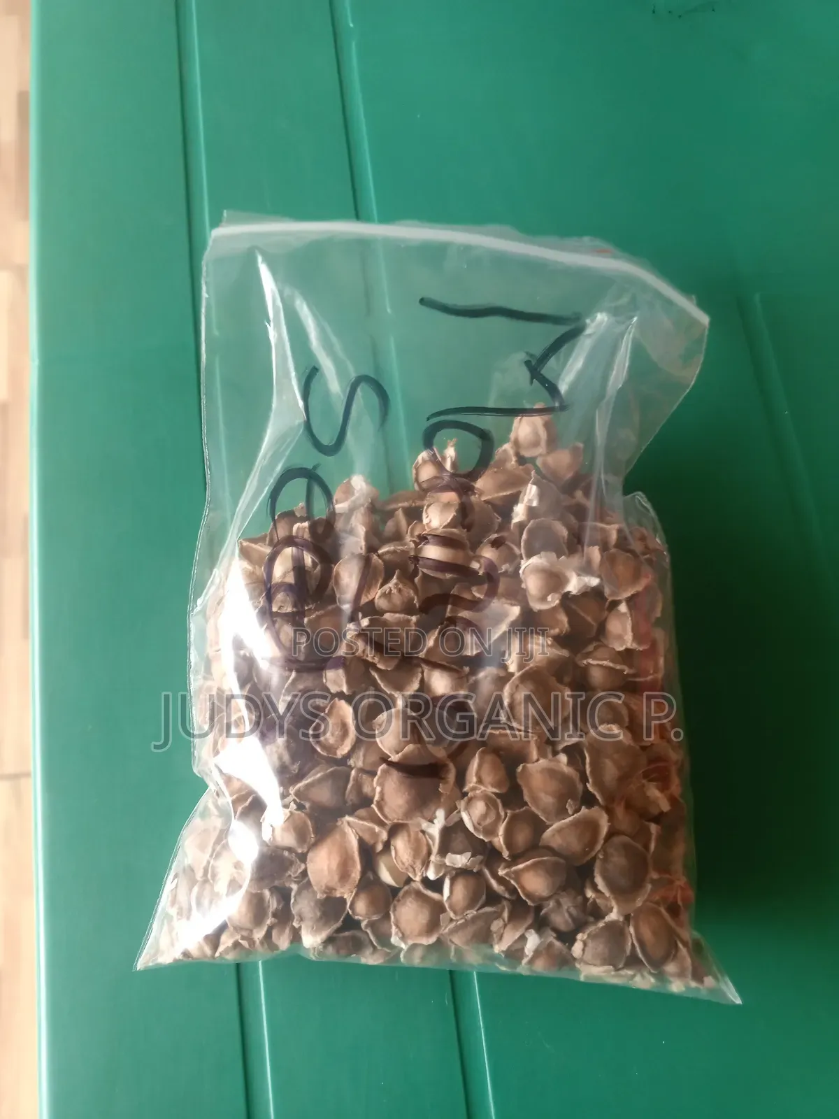 Moringa Seeds