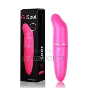 G Spot Dolphin Vibrator