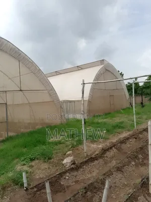 Greenhouse Construction And Installation