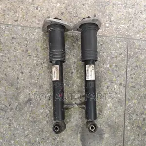 Bmw X5/X6 Back Shocks