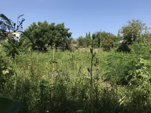 1 Acre Land for Sale at Airport