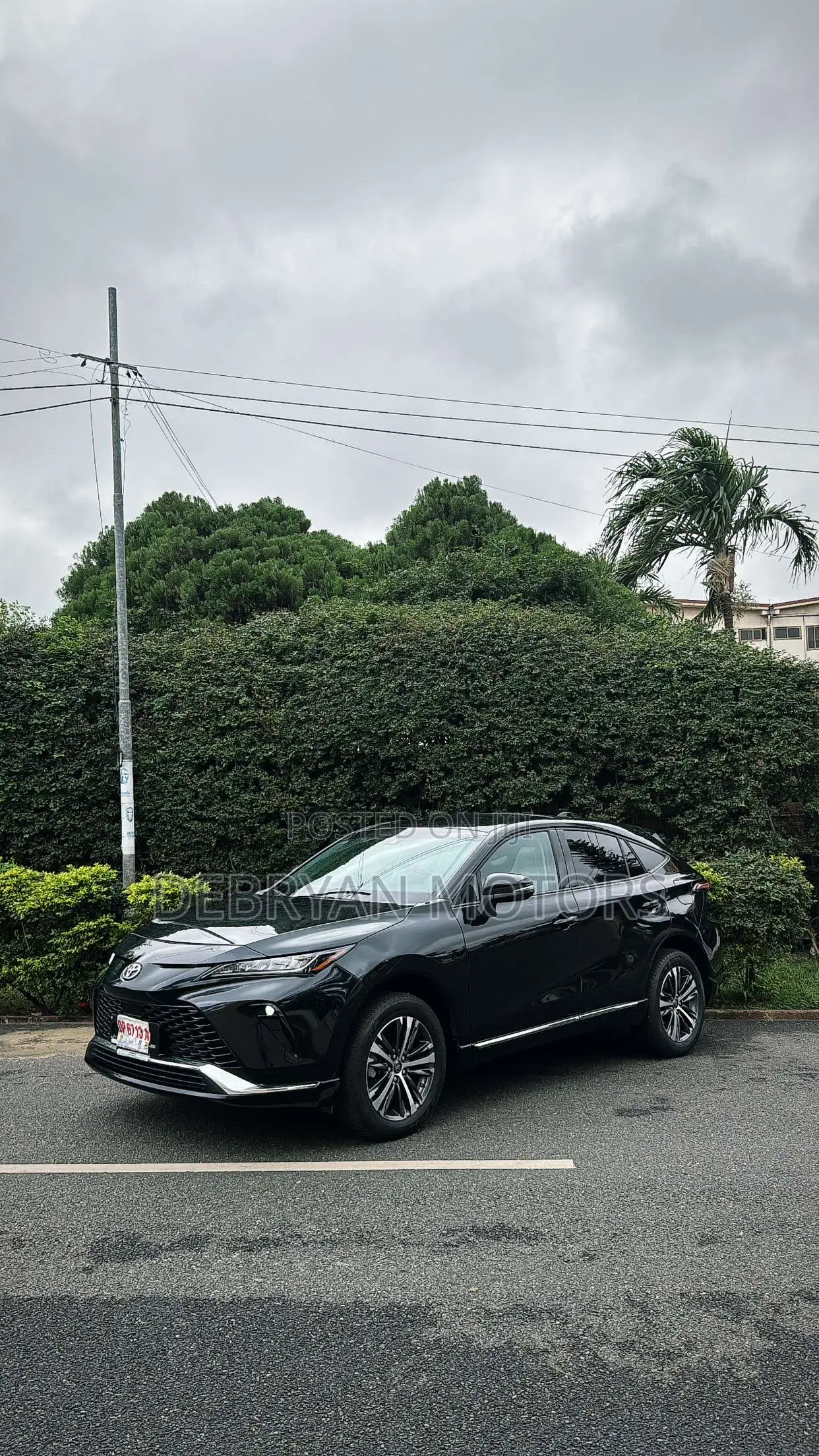 Toyota Venza Limited AWD 2024 Black