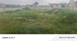 Amasaman Danchira
