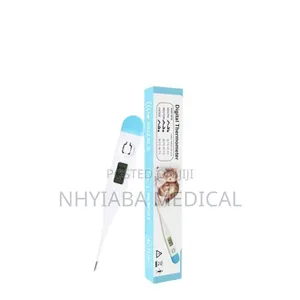 Digital Thermometer